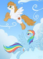 Flight Training