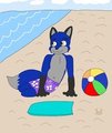 At the Beach