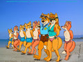 A Walk On The Beach