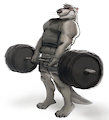 Deadlifting Otter!