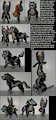 Wakeangel2K1 custom: Midna and Wolf Link by angel85