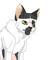 My cat in my art style