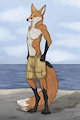 Charlie Commission