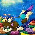 swimming in the reaf