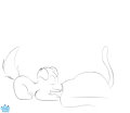 Test Animation