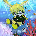 under the sea