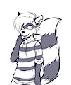 Raccoon Boy by Crackers