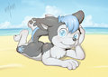 ProHusky
