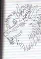Rough sketch by Dragon6