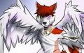 Angel Cenny
