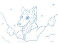 Winter Wonder Land