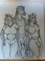 3 zebras by Drahor