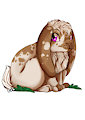 Bunny by Gela98