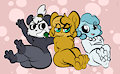A Bunch of Bears