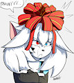 A floofy present