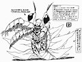 [SHADOW] Anomalocaris-Dopant Dangerous-Zombie Mode