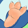 BD