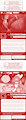 The Adventure Logs Of Young Queen Set 123