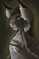 Commission - Senjer (Avatar / Portrait) by besonik