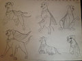 Sketchbook Pg. 7 - Krypto Practice 4 by Hyde3291