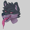 SKETCH