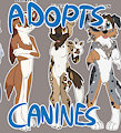 *ADOPTABLES*_Doggos