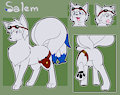 [C] Salem's Ref (SFW)