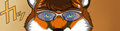 New sunglasses