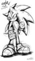 Sonic the Hedgehog