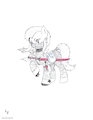 Ninja Pony
