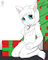 Furtrade Secret santa Dragonhuntx
