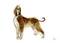 Dogs by Shiku
