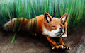 Cute fox kid