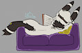 Shumbre Reading Time by ShadowCharmeleon