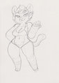 Sparring partner