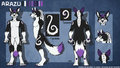 Arazu Character Sheet by Chironex
