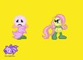 Venus meet Fluttershy