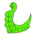 It's a Snake!!!