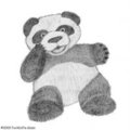 Cuddly Panda