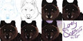 Lonely Song Icon Steps