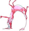 back breaking by anklebutts