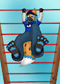 Dangling Cub Feet