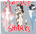 *ADOPTABLES*_Sharks