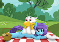 Picnic
