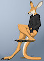Renegade Kangaroo Commission by Lizet