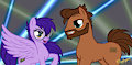 Pony Couple