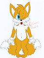 #9 - Tails no meu estilo