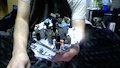 Atlantis update by mauro