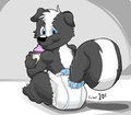 Newbie Pup Padded