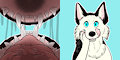 Zellest duo stickers